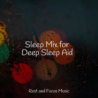 Whispers of Night - The White Noise Zen & Meditation Sound Lab & Ambient Music Therapy & Academia de Meditação Buddha