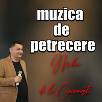 Muzica de Pahar si Voie Buna - MIHAI DE LA CIOCANESTI