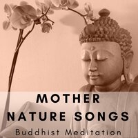 Meditation Temple - Relaxing Therapy Academy