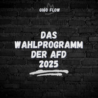 Das Wahlprogramm Der AfD 2025 - Gigo Flow
