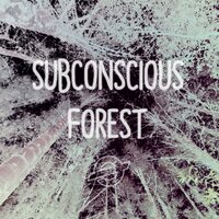 Forever - Nebulossa