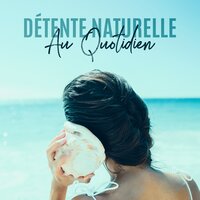Promener dans la forêt - Zone de la Musique Relaxante