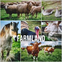 Farmland, Pt. 15 - Relaxing White Noise Sounds
