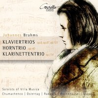 Trio für Klavier, Violine und Horn in E-Flat Major, Op. 40: IV. Finale. Allegro - Kalle Randalu & Nicolás Chumachenco & Frank Lloyd & Soloists of Villa Musica & Soloists of Villa Musica, Frank Lloyd, Nicolas Chumachenco, Kalle Randalu & Иоганнес Брамс