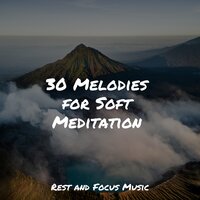 Twilight Sonnet - Binaural Beats Isochronic Tones Lab & Ambient Forest & Tibetan Singing Bowls for Relaxation
