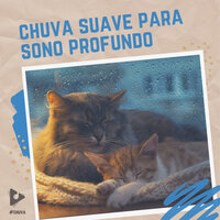 Uma Pausa Chuvosa - #Chuva & Hipnose Natureza Sons Coleção