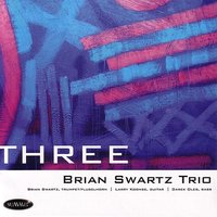 I Thought About You - The Brian Swartz Trio & Larry Koonse & Darek Oles