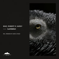 Levitation - BIGZ & Robert R. Hardy & KAZKO