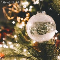 Silent Night - Christmas 2019 & Christmas 2018 & Christmas 2020