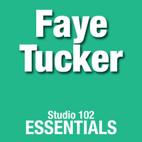 Since You Went Away - Faye Tucker