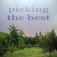 Picking The Best - 1st Class & Pille