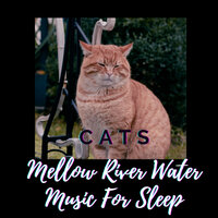 Water Sound - Cat Music & Miracle Tones & Massage Tribe