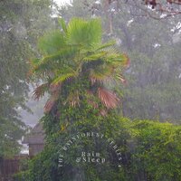 Rain for Sleep Help 11 - Rain & Sleep