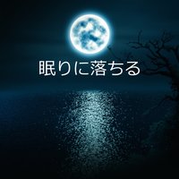 睡眠旅行 - 睡眠音楽のアカデミー