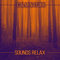 Positive Attitude - Nature Sound Collection