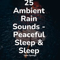 Rainy Roads - Música para Massagem Especialistas & Ambient Arena & Rain Spa