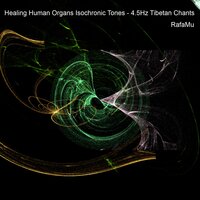 Healing Liver 317.83Hz - RafaMu