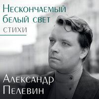 Александр Пелевин. «Нескончаемый белый свет. Стихи». Часть 38 - Макс Радман