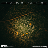Milky Way - Promenade