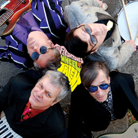 Stranger in My House - The Fleshtones