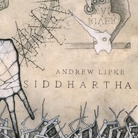Erased - Andrew Lipke