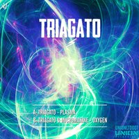 Plasma - Triagato & Micromakine