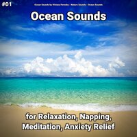 Ocean Sounds Part 27 - Ocean Sounds by Viviana Fernsby & Nature Sounds & Ocean Sounds