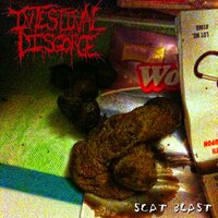 Effervescent Mixture of Solid and Liquid Excrement - Intestinal Disgorge