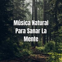 Música Spa - Sonidos suaves
