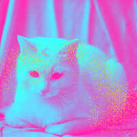 Hypnotic Moods for Friendly Cats - Calming Cat Music