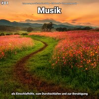 Entspannungsmusik pt. 32 - Entspannungsmusik zum Einschlafen & Schlafmusik & Entspannungsmusik