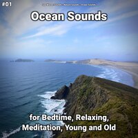 Ocean Sounds Pt. 64 - Sea Waves Sounds & Nature Sounds & Ocean Sounds
