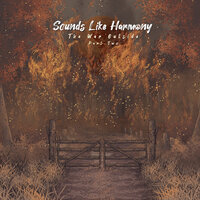 Old Fashioned Heart - Sounds Like Harmony
