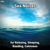 Sea Noises Pt. 57 - Ocean Currents & Nature Sounds & Ocean Sounds