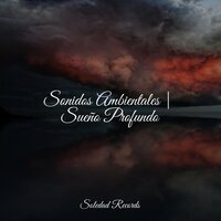 Om - Mindfulness Meditation Universe & Rain Sounds Factory STHLM & Música Zen Relaxante