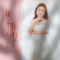 抹不去的回忆 - 付玉梅
