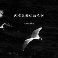 风吹过回忆的老街 - 王琪琪 & 倍源iu