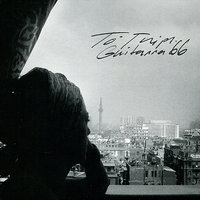 The Wind Blows - Tó Trips