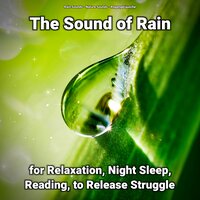 The Sound of Rain for Relaxation Pt. 94 - Nature Sounds & Rain Sounds & Regengeräusche
