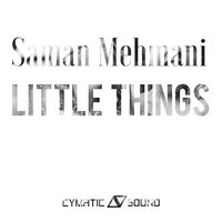 Little Things - Saman Mehmani