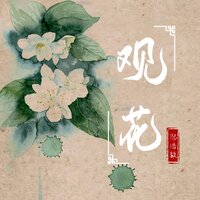 观花 - 倪浩毅