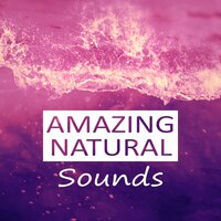 Soothing Music - Harmony Nature Sounds Academy