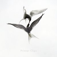 Mrs Winchester - Printer Clips & Martha Wainwright & Paul Noonan