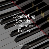 Soulful Rhythm - London Piano Consort & Calming Piano & Canciones de Cuna Relax