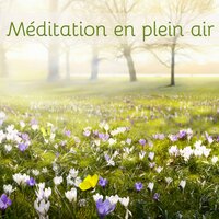Musique d'ambiance pour yoga et méditation - Oasis de Méditation