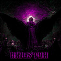 KINGSTON - SHANE PLAYA