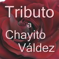 La Silla Vacia - Dco