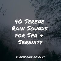 Strong Rain Vietnam - Ruído branco & Nature Ambience & Pet Care Music Therapy