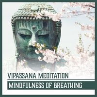 Relax Your Mind - Meditation Mantra Academy