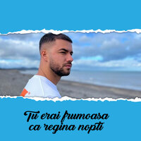 Tu erai frumoasa ca regina nopti - CULITA STERP